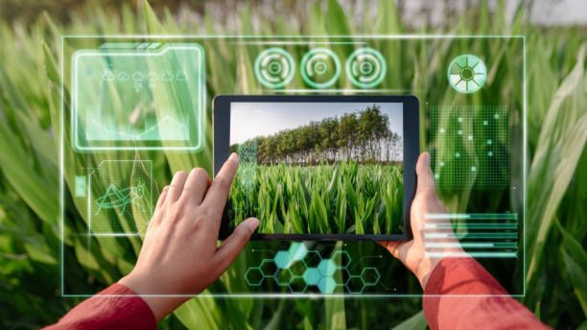 363,983 Nature In Technology Stock Photos, High-Res Pictures, and Images